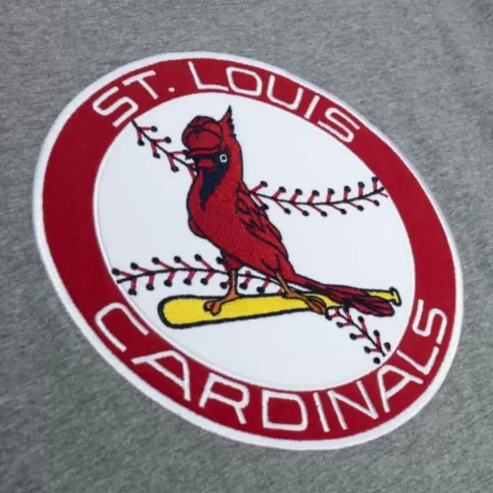 Color Blocked S/S Tee St. Louis Cardinals