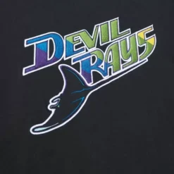 Color Blocked Ss Tee Tampa Bay Rays