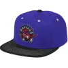 Contrast Stitch Snapback Hwc Toronto Raptors