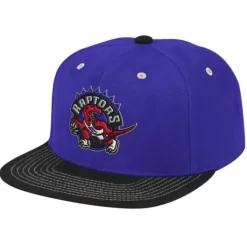 Contrast Stitch Snapback Hwc Toronto Raptors