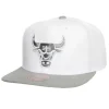 Cool Gray 7 Snapback Chicago Bulls