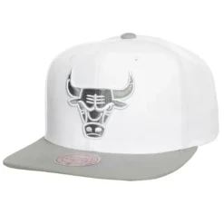 Cool Gray 7 Snapback Chicago Bulls