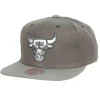 Cool Grey Snapback Chicago Bulls