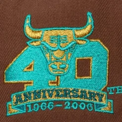 Copper Top Fitted Hwc Chicago Bulls