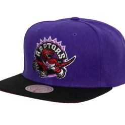 Core Basic Snapback Hwc Toronto Raptors