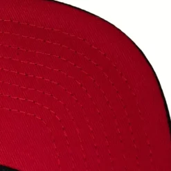 Core Basic Snapback Hwc Toronto Raptors