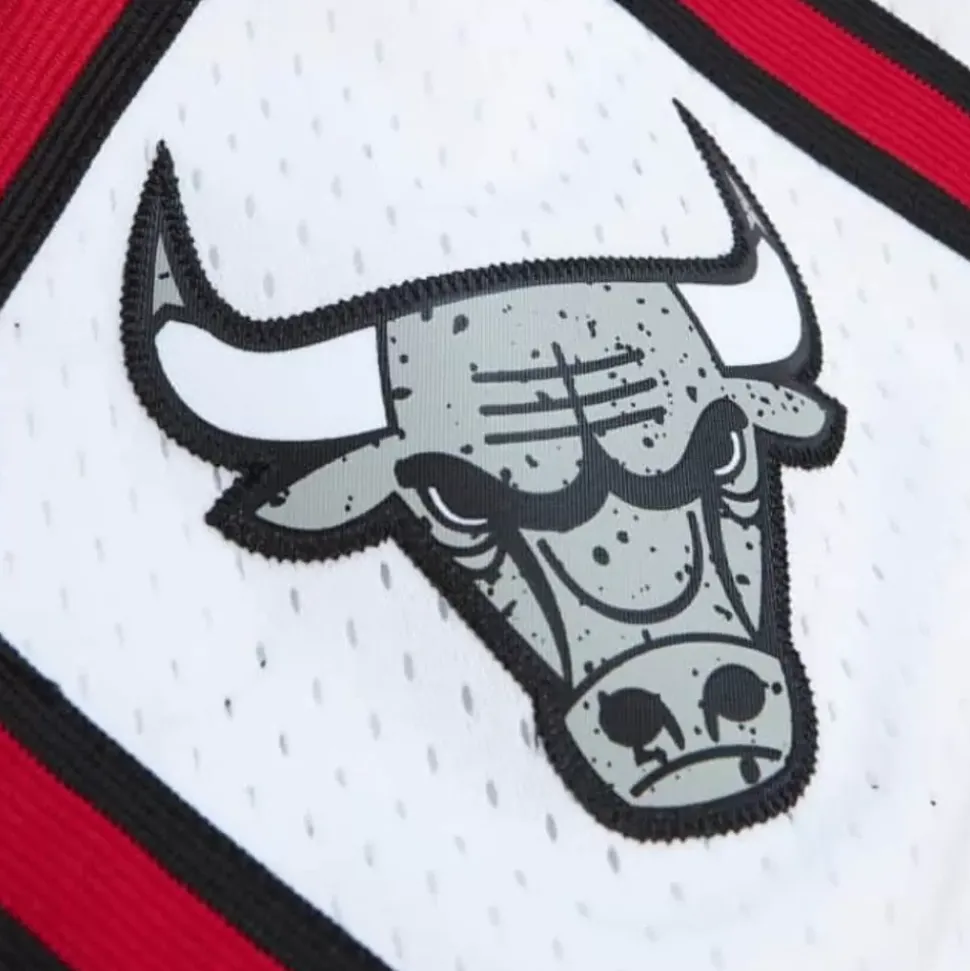 Cracked Cement Swingman Shorts Chicago Bulls 1997-98