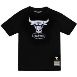 Cracked Ice Tee Chicago Bulls