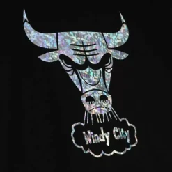 Cracked Ice Tee Chicago Bulls