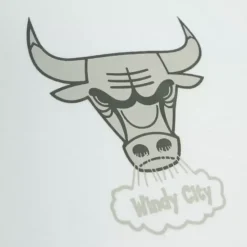 Cream Hoodie Chicago Bulls