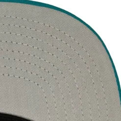 Cross Check Snapback Hwc Charlotte Hornets