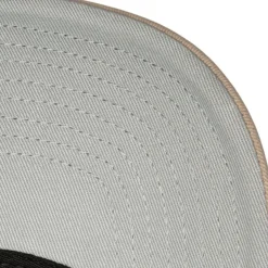 Curveball Trucker Coop Houston Astros