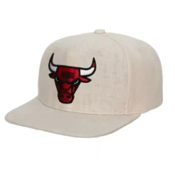 Cut Away Snapback Chicago Bulls