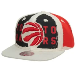 Cut Away Snapback Toronto Raptors