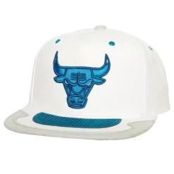 Day 4 Snapback Chicago Bulls