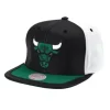 Day One Snapback Chicago Bulls