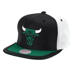 Day One Snapback Chicago Bulls