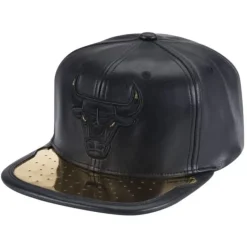 Day One Snapback Chicago Bulls