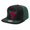 Day One Snapback Chicago Bulls
