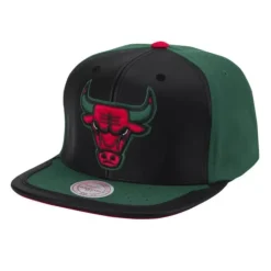 Day One Snapback Chicago Bulls