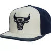 Day One Snapback Chicago Bulls