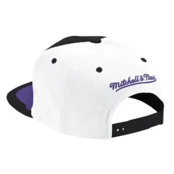 Day One Snapback Chicago Bulls