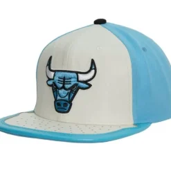 Day One Snapback Chicago Bulls