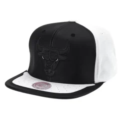 Day One Snapback Chicago Bulls