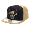 Day One Snapback Chicago Bulls