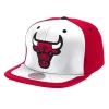 Day One Snapback Chicago Bulls