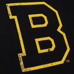 Distressed Basic Logo 1 Tee Boston Bruins