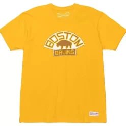 Distressed Logo Tee Boston Bruins