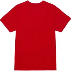 Distressed Logo Tee Florida Panthers