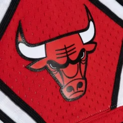 Doodle Swingman Chicago Bulls 1997-98 Shorts