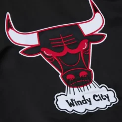 Double Clutch Lightweight Satin Jacket Chicago Bulls