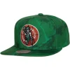 Down For All Snapback Hwc Boston Celtics