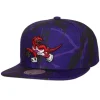 Down For All Snapback Hwc Toronto Raptors