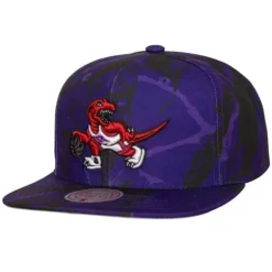 Down For All Snapback Hwc Toronto Raptors