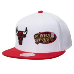 Dual Whammy Snapback Chicago Bulls