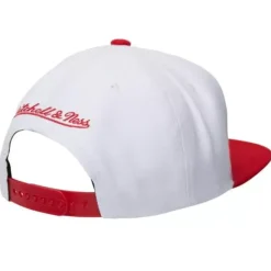 Dual Whammy Snapback Chicago Bulls