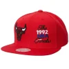 Dual Whammy Snapback Chicago Bulls