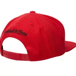 Dual Whammy Snapback Chicago Bulls