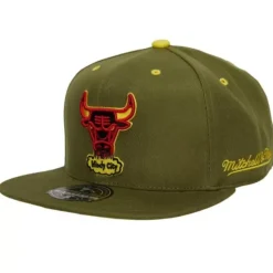 Dusty Olive Fitted Hwc Chicago Bulls