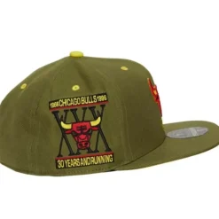 Dusty Olive Fitted Hwc Chicago Bulls