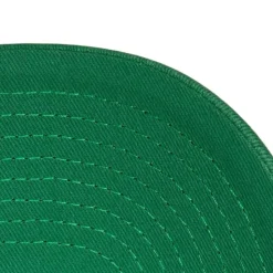 Eagle Pro Snapback Philadelphia Eagles