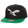 Eagle Snapback Philadelphia Eagles