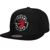 Embroidery Glitch Snapback Toronto Raptors