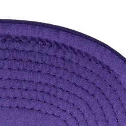 English Dropback Snapback Hwc Toronto Raptors