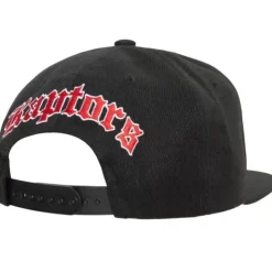 English Dropback Snapback Toronto Raptors