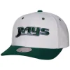 Evergreen Pro Snapback Coop Tampa Bay Rays